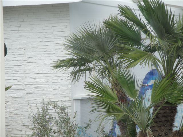 DSC01151-min.jpg