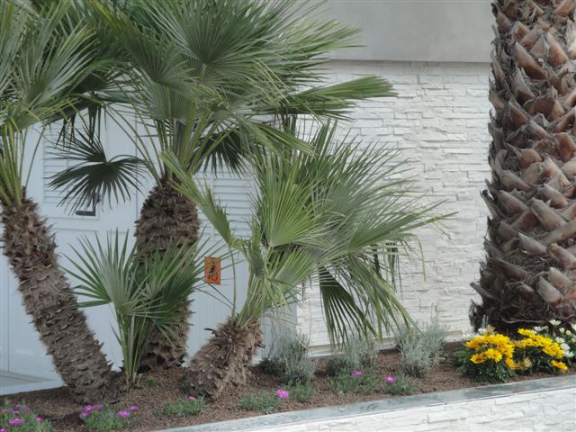 DSC01153-min.jpg