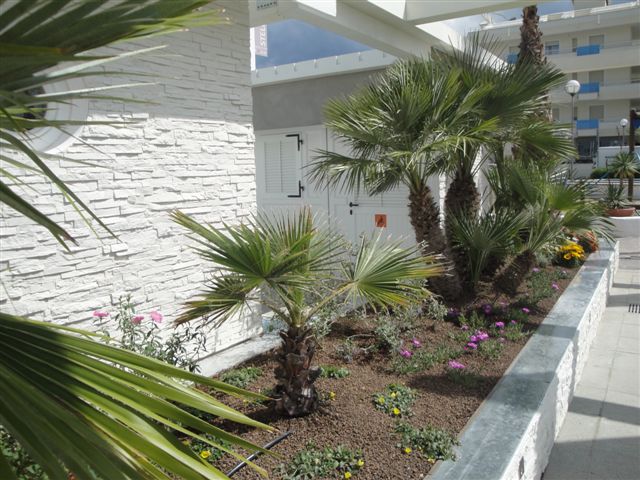 DSC01157-min.jpg